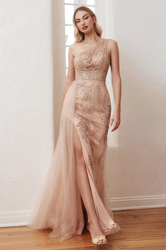 Cinderella Divine  CB098 Dress